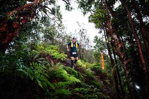 BIB: 
                            <button type="button" onclick="openModal(26205425)" class="btn btn-primary btn-sm float-right btn-popup" data-toggle="modal" data-target=".modal-high-quality">
                        <i class="fas fa-shopping-cart"></i> Add to Cart
                    </button>
                                            <button type="button" onclick="isThisMe(26205425, true)" class="btn btn-success btn-sm float-right btn-popup btn-isme hidden" data-toggle="tooltip" data-placement="bottom" title="นี่คือรูปของคุณใช่ไหม คลิกที่นี่เพื่อเอาเข้าอัลบั้ม">
                        <i class="fas fa-plus"></i> Add to album
                    </button>
                    <button type="button" onclick="isThisMe(26205425, false)" class="btn btn-warning btn-sm float-right btn-popup btn-isnotme hidden">
                        <i class="fas fa-ban"></i> Remove from album
                    </button>